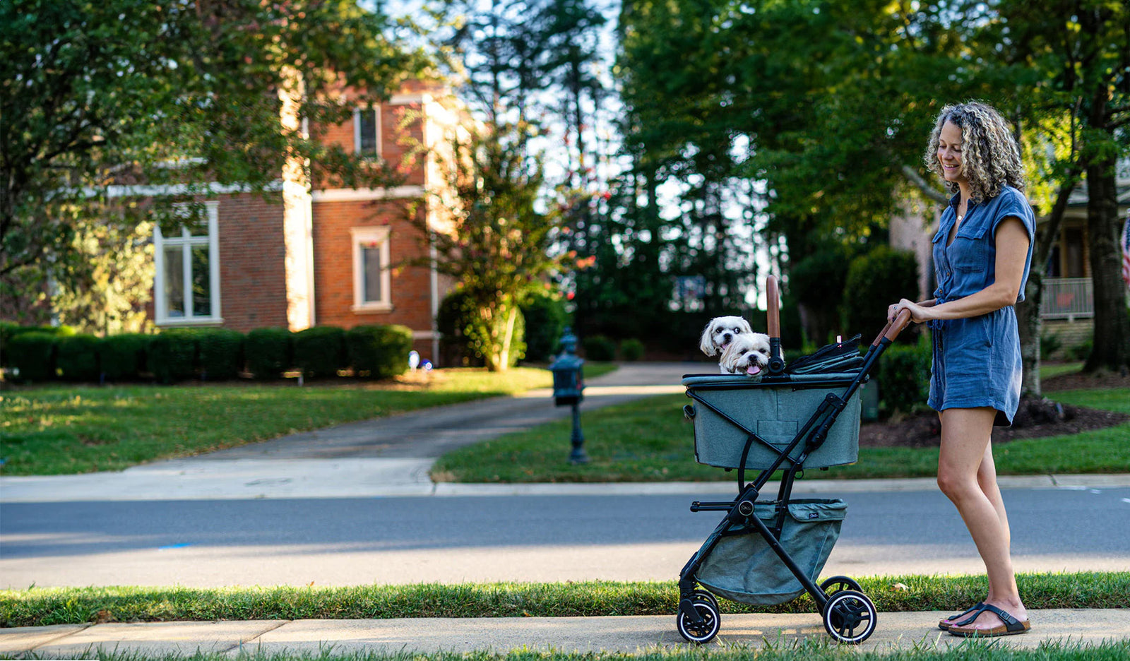image_mobile